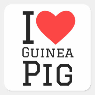 I love Guinea pig Square Sticker