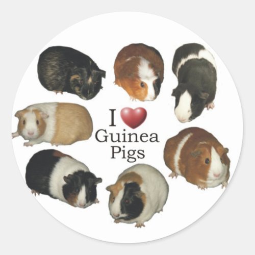 I Love Guinea Pig Stickers