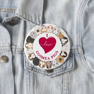 I Love Guinea Pigs Button
