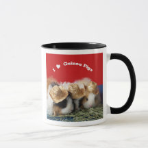 I Love Guinea Pigs Mug