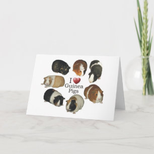 I Love Guinea Pigs - NoteCard