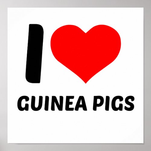 I love guinea pigs poster