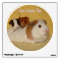 I Love Guinea Pigs Wall Decal