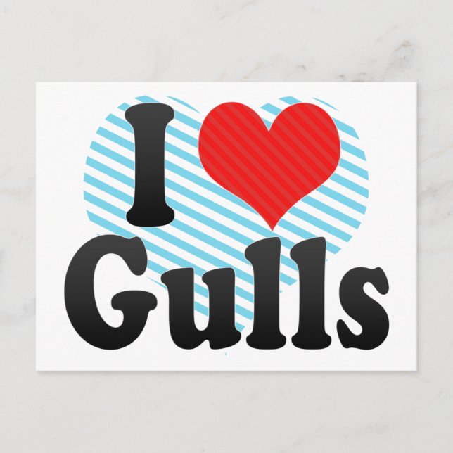 I Love Gulls Postcard (Front)