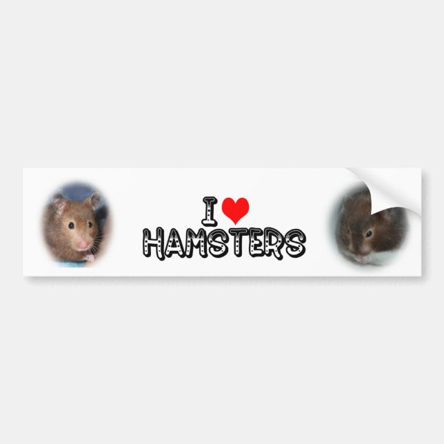 I love Hamsters Bumper Sticker (Front)