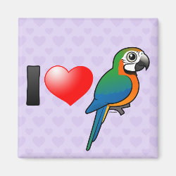 I Love Harlequin Macaws Square Magnet