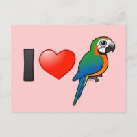 I Love Harlequin Macaws 