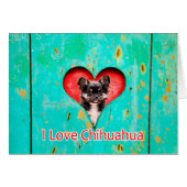 I Love Heart Chihuahua Dog (Front Horizontal)