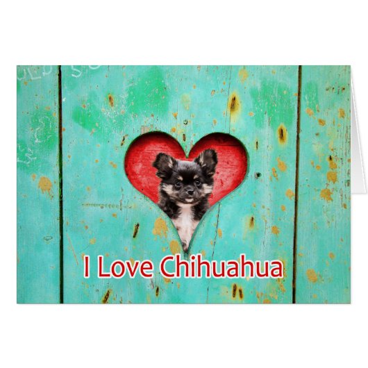 I Love Heart Chihuahua Dog (Front Horizontal)