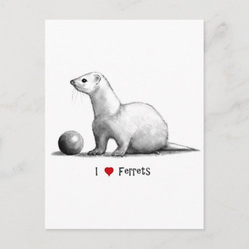 I Love Heart Ferrets Pencil Drawing Postcard