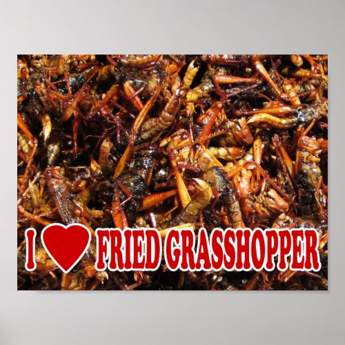 I Love Heart Fried Grasshopper Poster