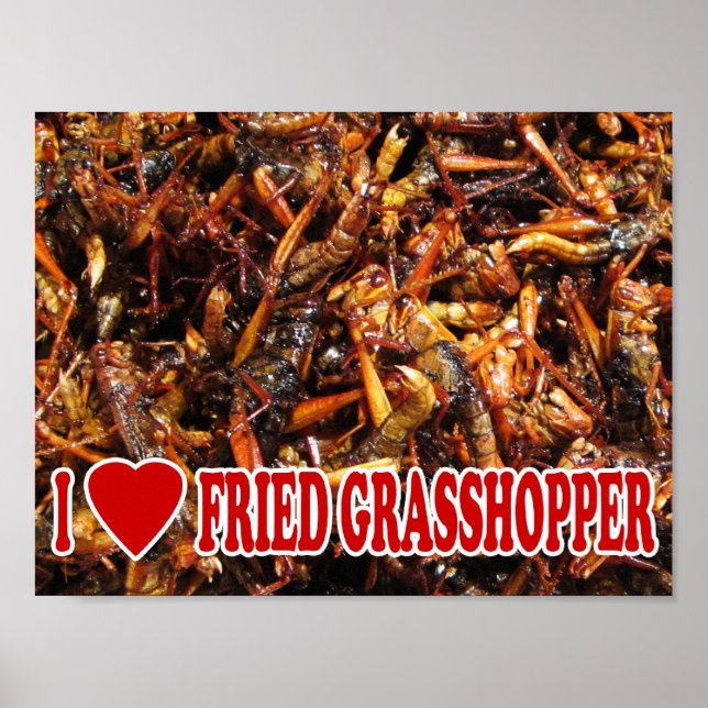 I Love (Heart) Fried Grasshopper Poster (Front)