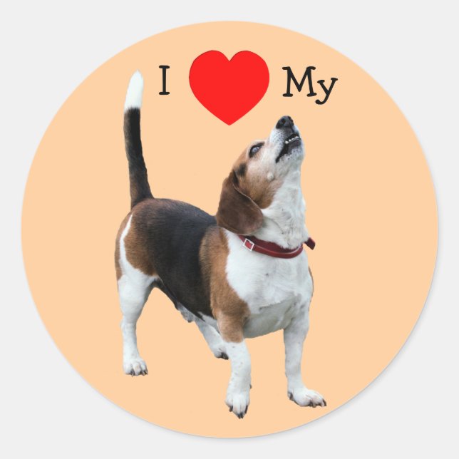 I Love Heart My Beagle Dog Sticker (Front)