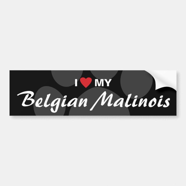 I Love (Heart) My Belgian Malinois Bumper Sticker (Front)