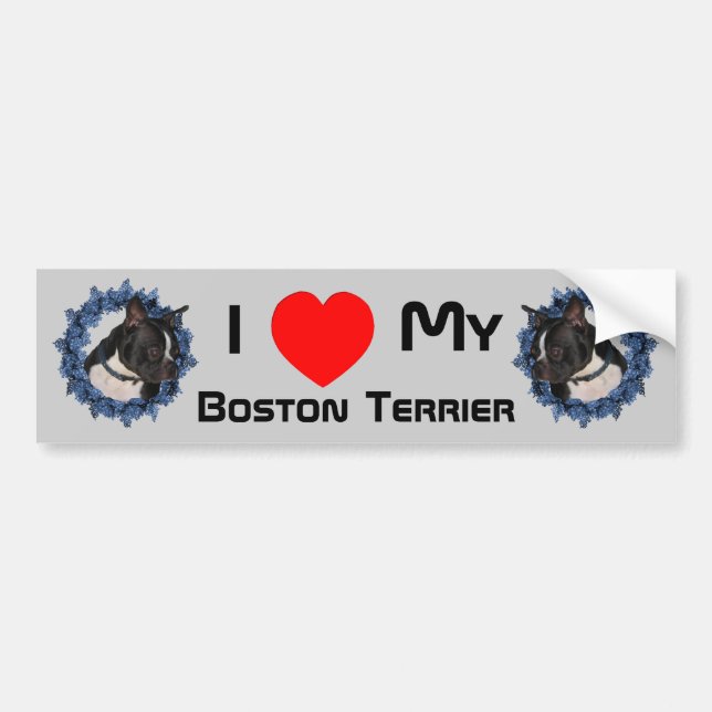 I Love Heart My Boston Terrier  Bumper Sticker (Front)
