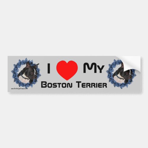 I Love Heart My Boston Terrier Bumper Sticker