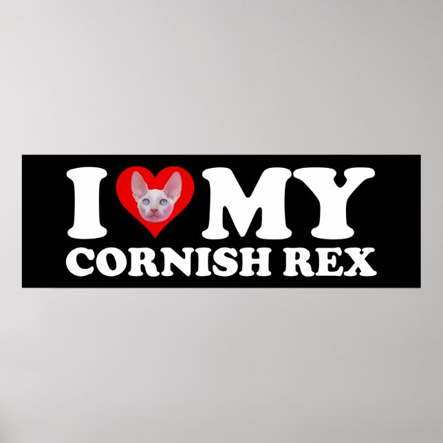 I Love (Heart) My Cornish Rex Poster (Front)