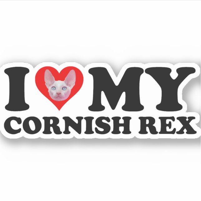 I Love (Heart) My Cornish Rex Sticker (Front)