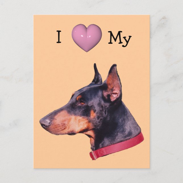 I Love Heart My Doberman Dog Postcard (Front)