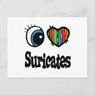 I Love (Heart) Suricates Postcard