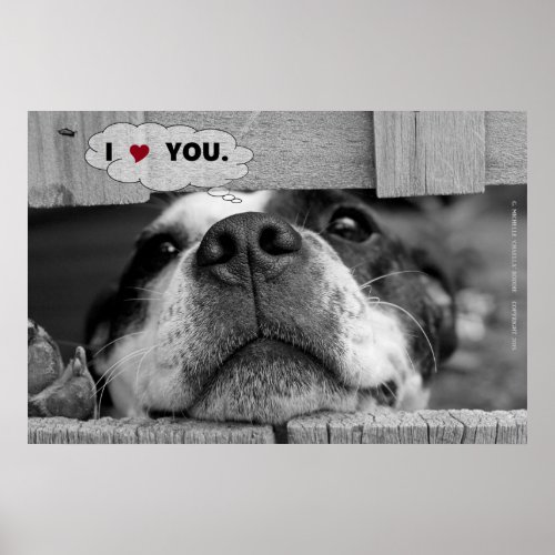 I LoveHeart You Dogs Snout Poster