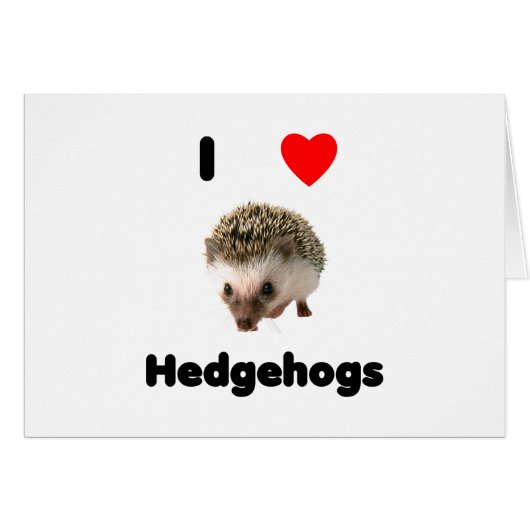 I love hedgehogs (Front Horizontal)