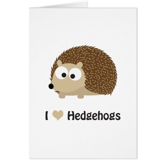 I love Hedgehogs Cards (Front)
