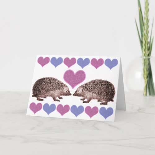 I Love Hedgies Hedgehog Valentines Day Card
