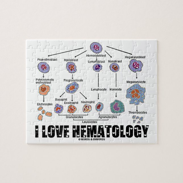 I Love Hematology (Blood Cell Lineage) Jigsaw Puzzle (Horizontal)