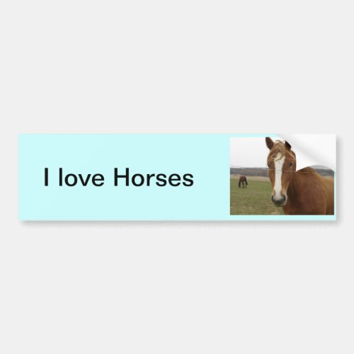 I love Horses Bumper Sticker