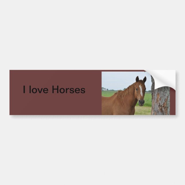 I love Horses Bumper Sticker (Front)