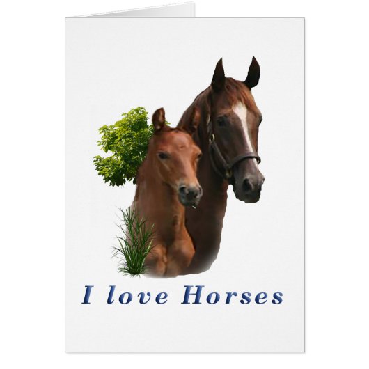 I love Horses Cards (Front)