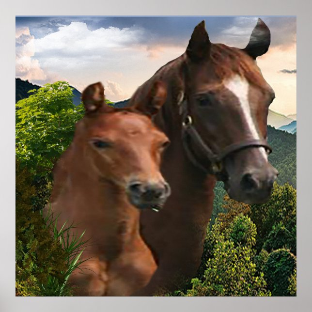 I love Horses Poster (Front)