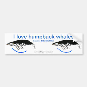 I love Humpback WHALES- Endangered animal - Nature Bumper Sticker
