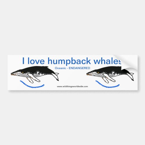 I love Humpback WHALES_ Endangered animal _ Nature Bumper Sticker
