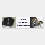 I love Icelandic Sheepdogs Bumper Sticker