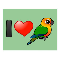 I Love Jenday Conures Postcard