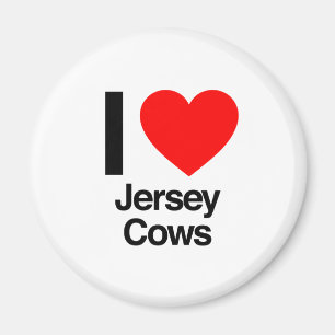 i love jersey cows magnet