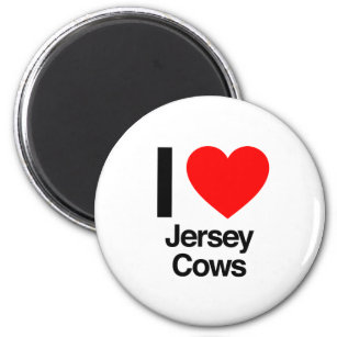 i love jersey cows magnet