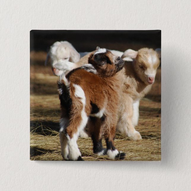 I Love Kids Button (Front)