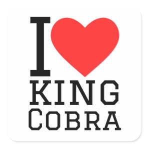 I love king cobra square sticker