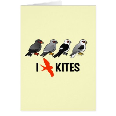 I Love Kites