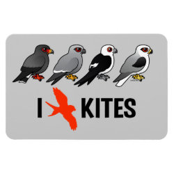 I Love Kites 4