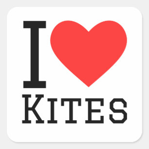 I love kites square sticker