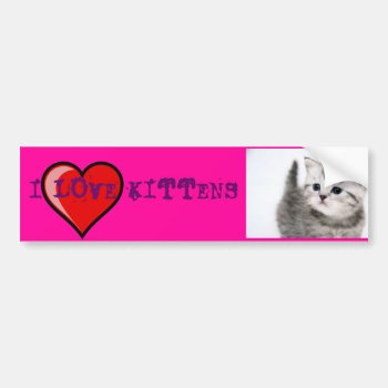 I Love Kittens Bumper Sticker by bananasplit at Zazzle