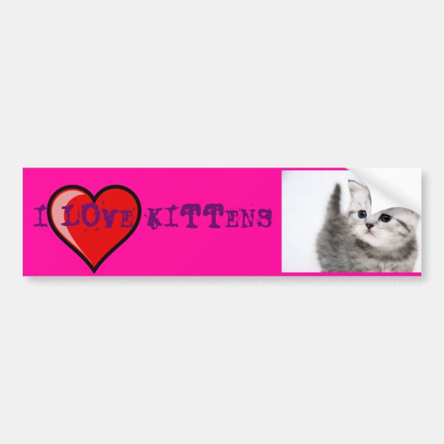 i love kittens bumper sticker (Front)