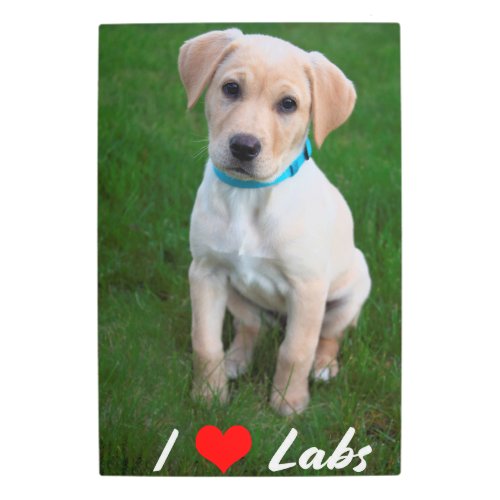 I Love LabsYellow Labrador Retriever Puppy Metal Print