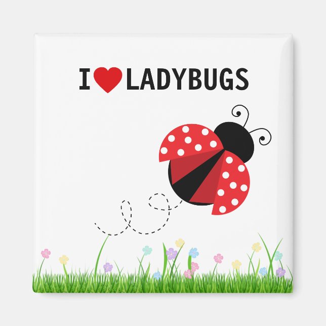I Love Ladybugs Magnet (Front)