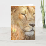 I Love Lions Greeting Card