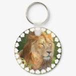 I Love Lions Keychain